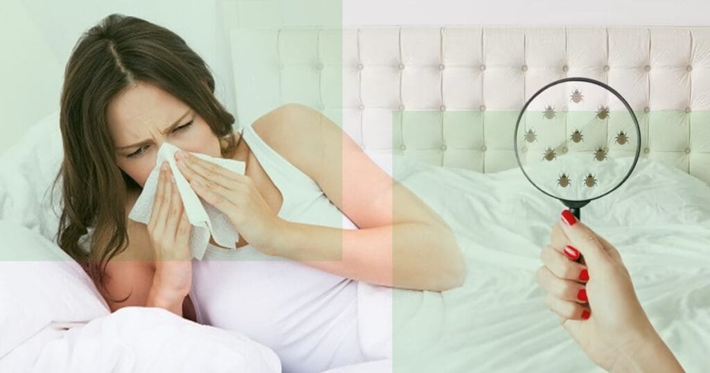 How To Get Rid Of Dust Allergy
