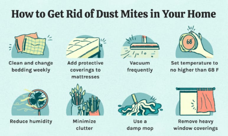 Cure Dust Allergy in Eyes | Allergy Asthma