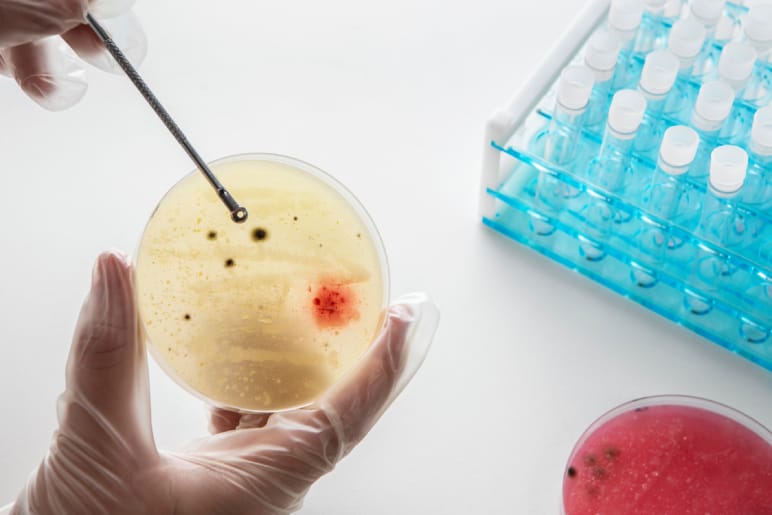 Can Immunotherapy Cure Stage 4 Cancer- Allergy & Asthma Treatment Centre- Do Well